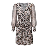 Imcute Women Long Sleeve Leopard Print Sexy V Neck Mini Dress