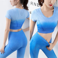 2PCS Yoga Set Short Sleeve Yoga Top Running Shorts