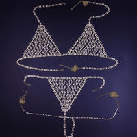 Crystal Chain Mesh Bra and Underwear