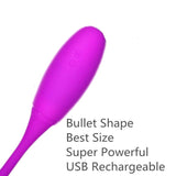 Rechargeable Dual Vibrator 7 Speeds Double Head Jump Egg Bullet Dildo